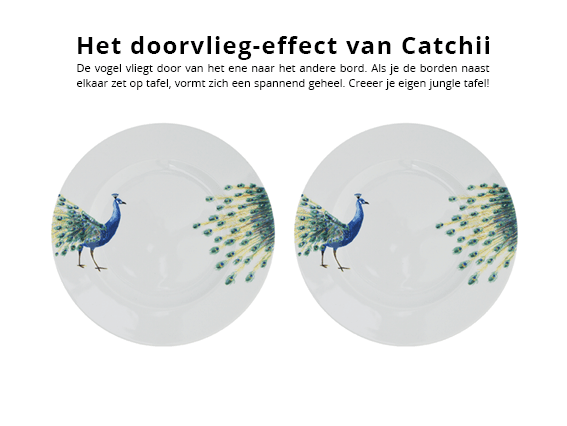4 x Dinner plates Peacock - THE WILD SHOWCASE