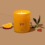 Joy Scented Candle - THE WILD SHOWCASE