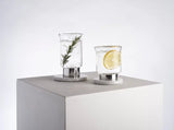 Ninfa Water Glass - THE WILD SHOWCASE