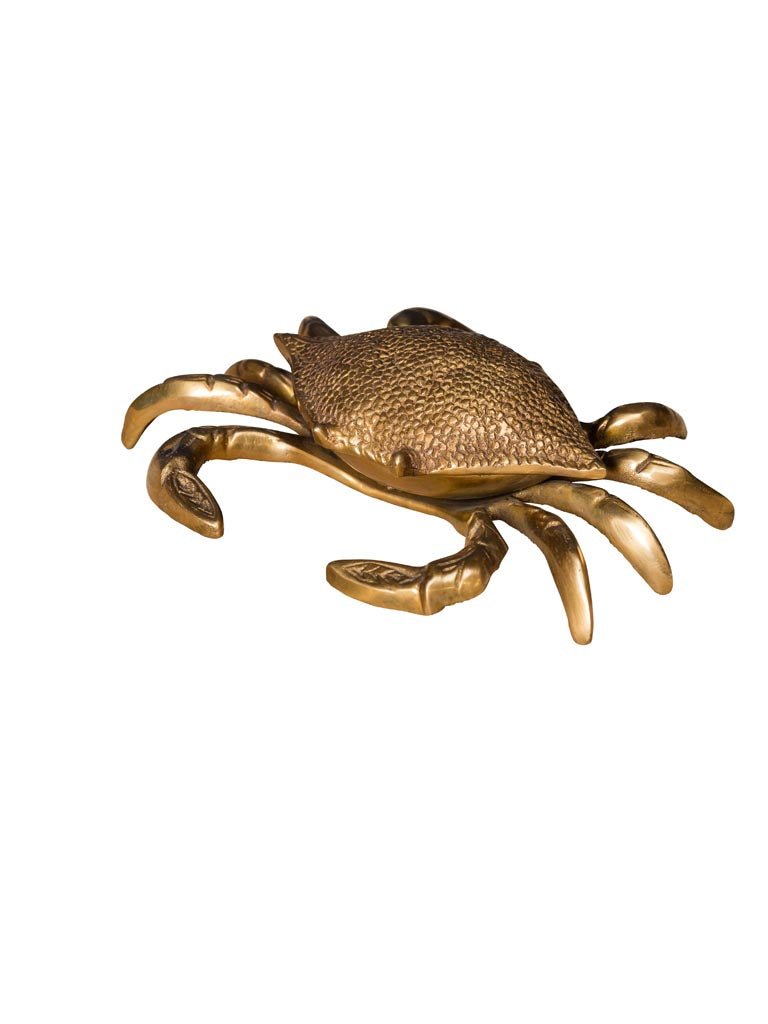 Storage box Crab brass - THE WILD SHOWCASE