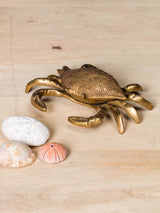 Storage box Crab brass - THE WILD SHOWCASE