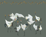 Wallpaper cranes green Japanese Crane Dance - THE WILD SHOWCASE